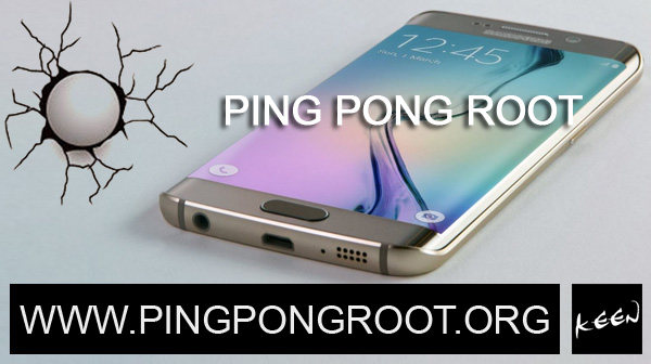 ping pong root download
